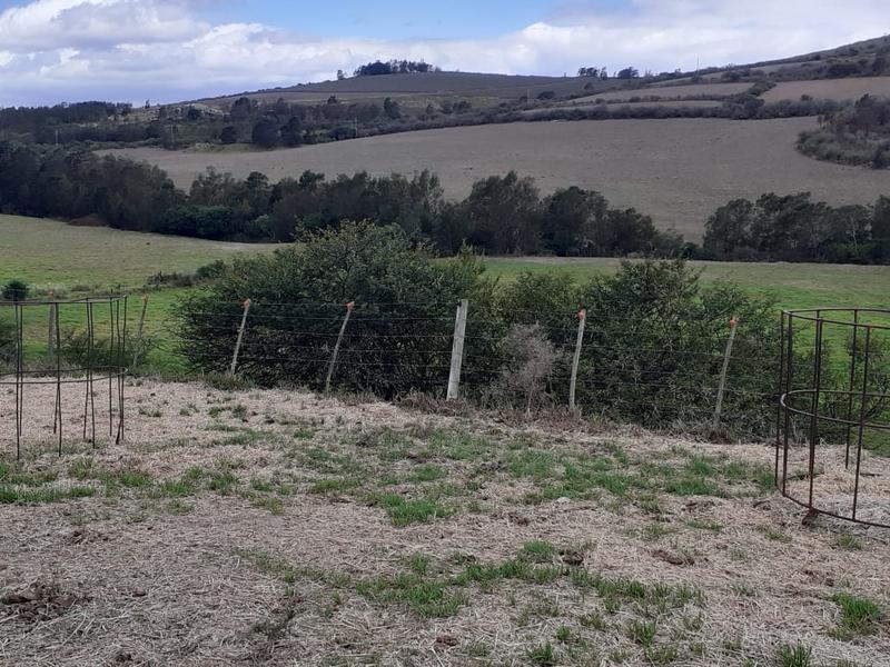 0 Bedroom Property for Sale in Albertinia Western Cape